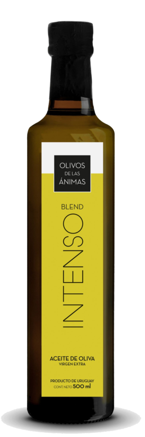 Blend Intenso